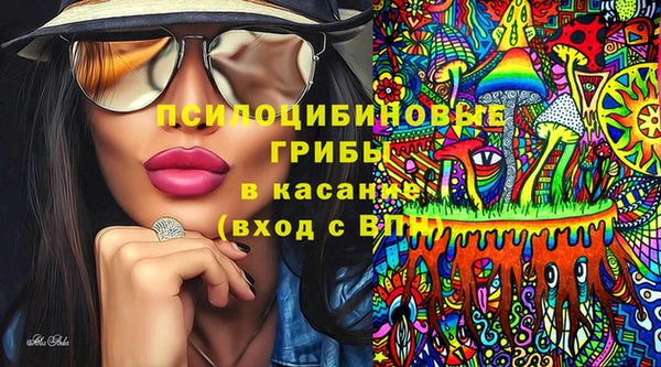 хмурый Абаза