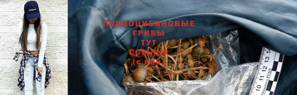 хмурый Абаза