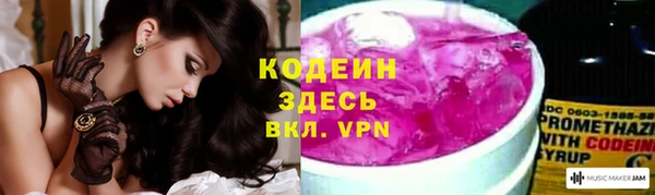 хмурый Абаза