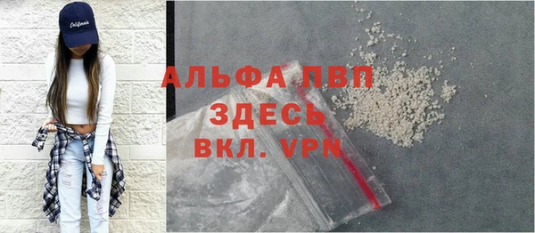 хмурый Абаза