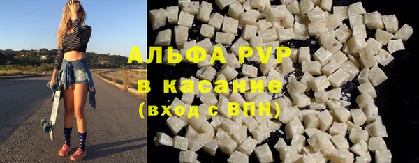 хмурый Абаза