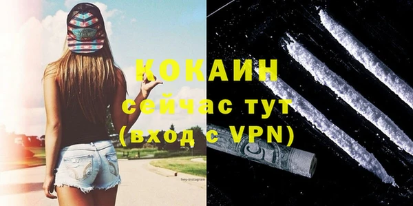 хмурый Абаза
