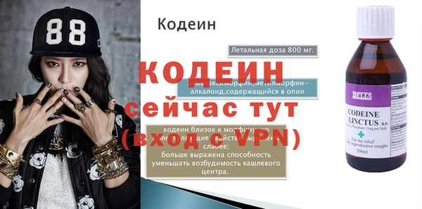 хмурый Абаза
