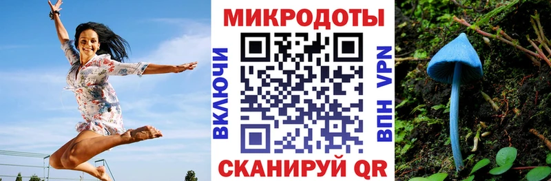 Псилоцибиновые грибы MAGIC MUSHROOMS  Ядрин 